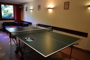 tenis stołowy w sali rekreacyjnej